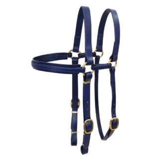 Brumby Extended Bridle Head - Blue - 2022 model with new webbing