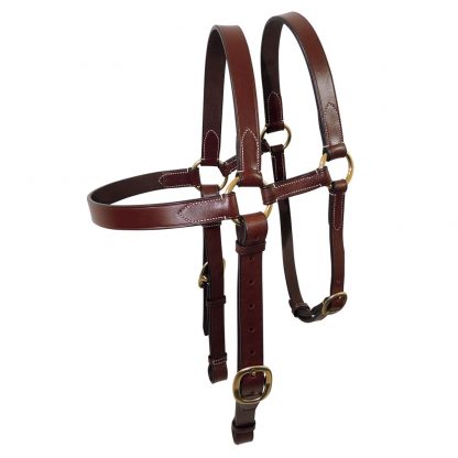 Tanami leather extended head bridle - brass