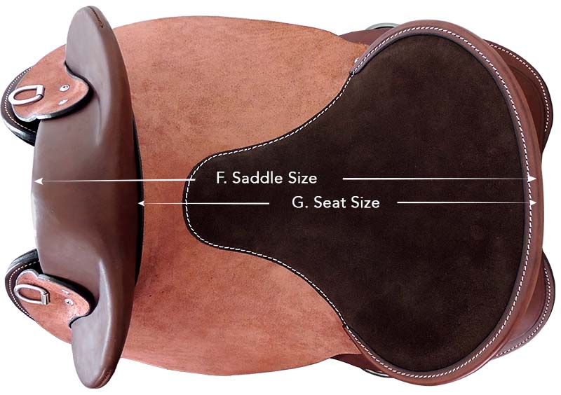 Saddle Size vs Seat size