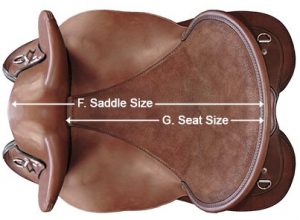 Saddle size vs seat size
