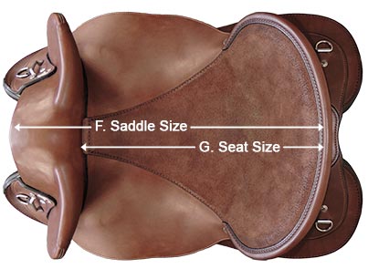 Saddle size vs seat size