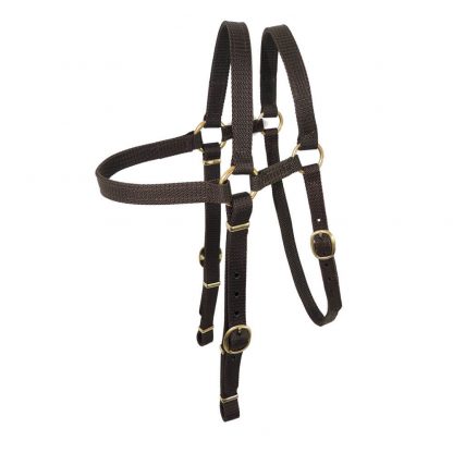 Nyla web Extended bridle head - brass