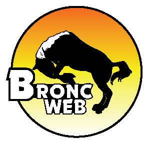 Bronc Coated Webbing colour logo