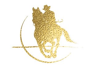 Tanami Leather gold logo