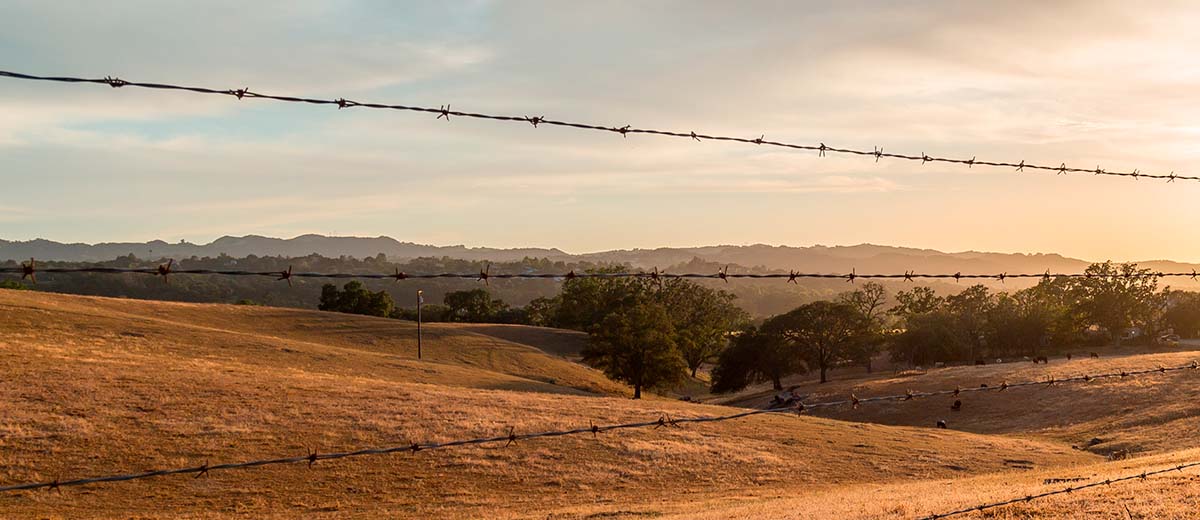 condamine country landscape background