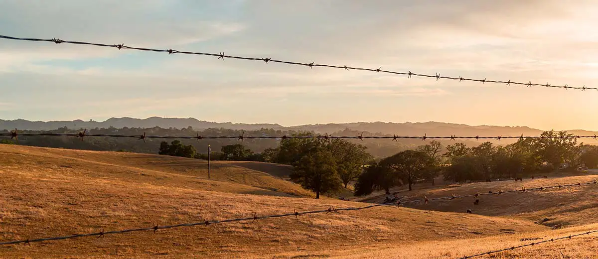 country landscape background