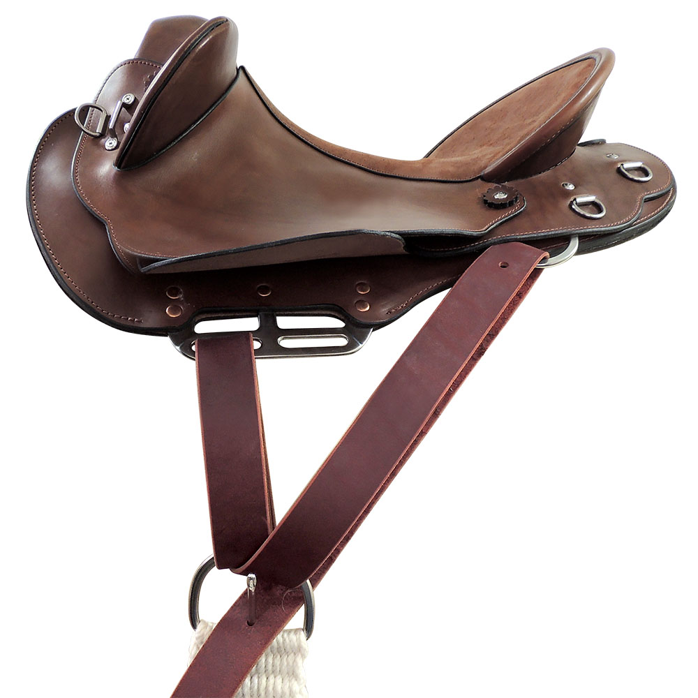 Near side centrefire saddle rigging example, with 3 way rigplates, leather latigo and buckle cinch