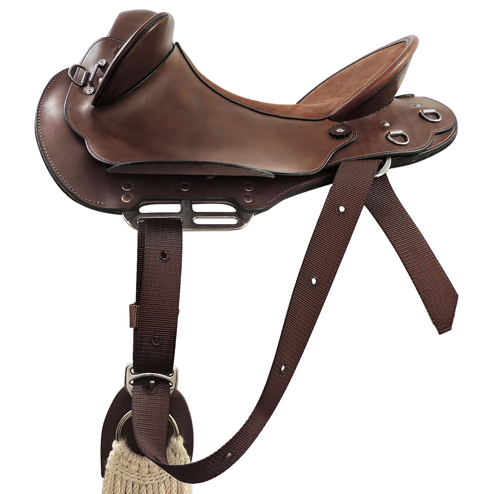 Near side Tackaberry/Bates saddle rigging example in forward position, with 3 way rigplates and TS Pro series synthetic pull-up strap 