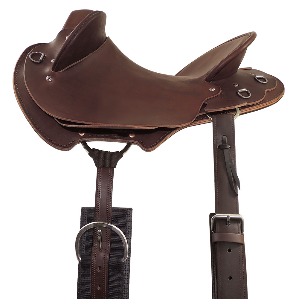 Near side saddle rigging example: C type rigplates with cinch, loop-on girth points and flank girth