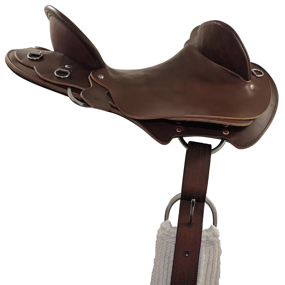 Off side simple saddle rigging example: C type rigplates with TS Pro series polyester billet strap and buckle cinch