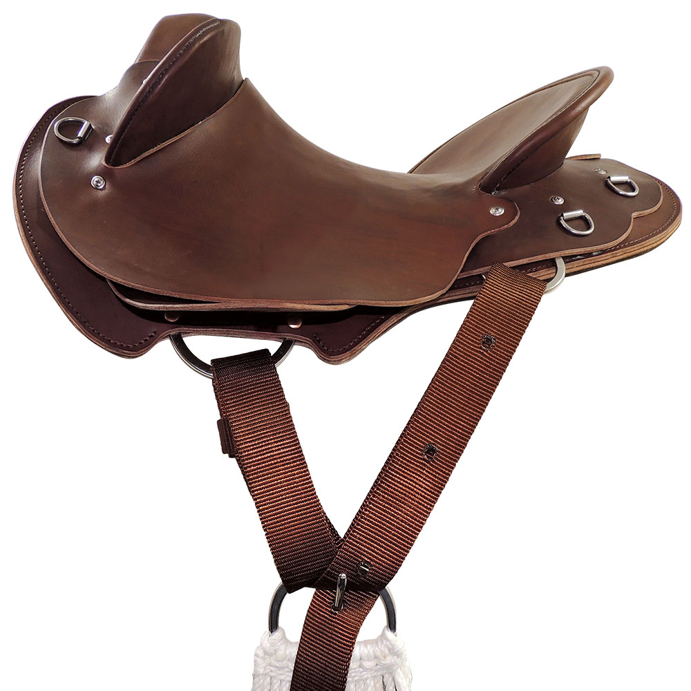 Near side centrefire saddle rigging example, with C type rigplates,  TS Pro series synthetic pull-up strap and buckle cinch