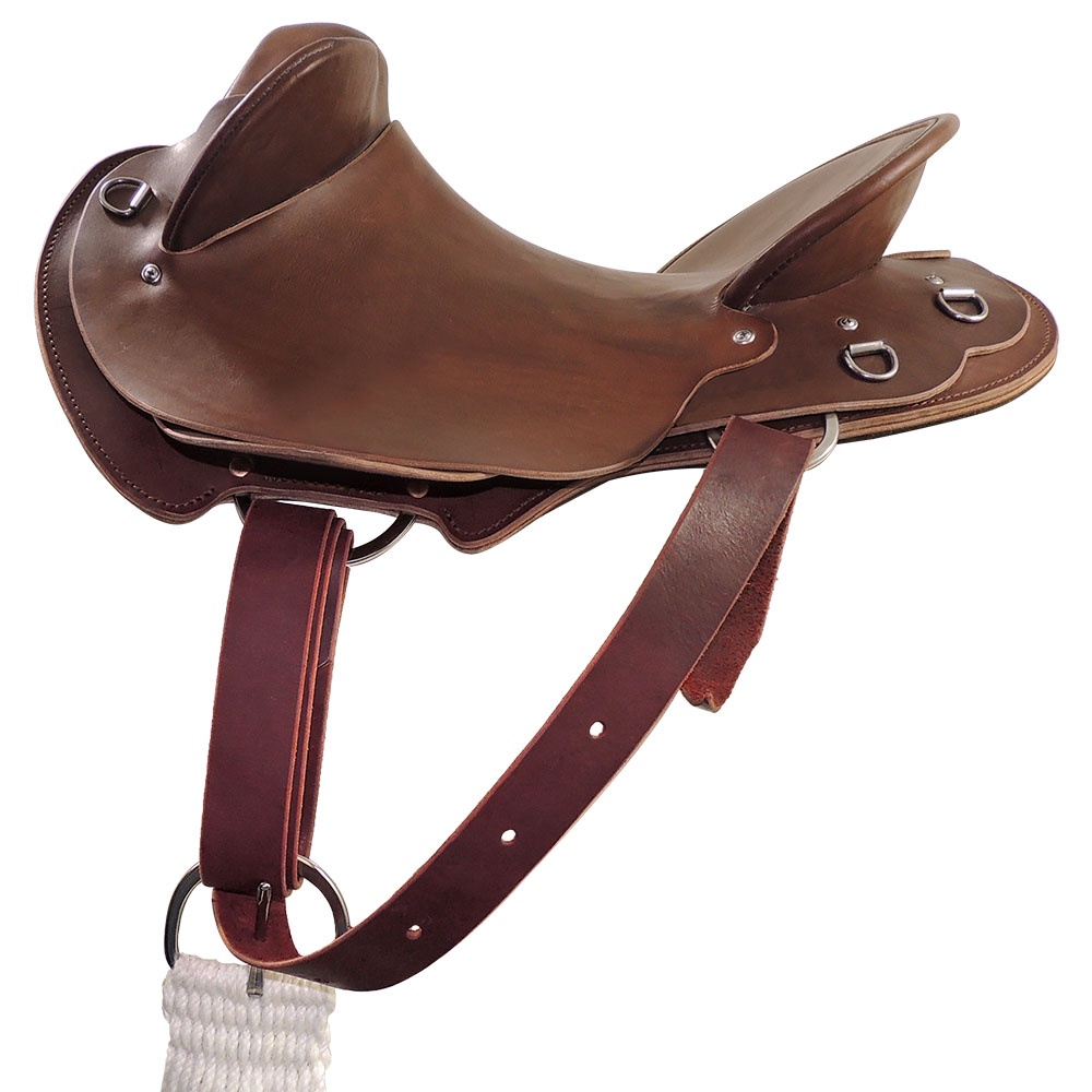 Near side simple saddle rigging example: C type rigplates with leather latigo strap and buckle cinch