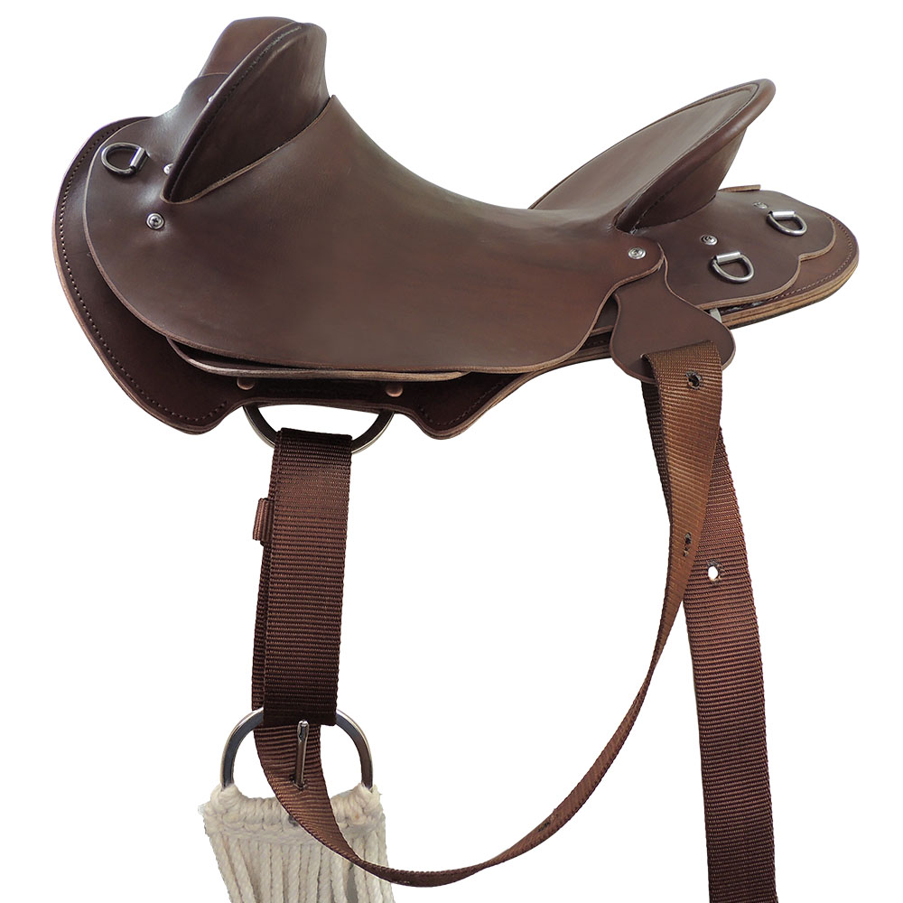 Near side saddle rigging example: C type rigplates with TS Pro series polyester pull-up strap and buckle cinch