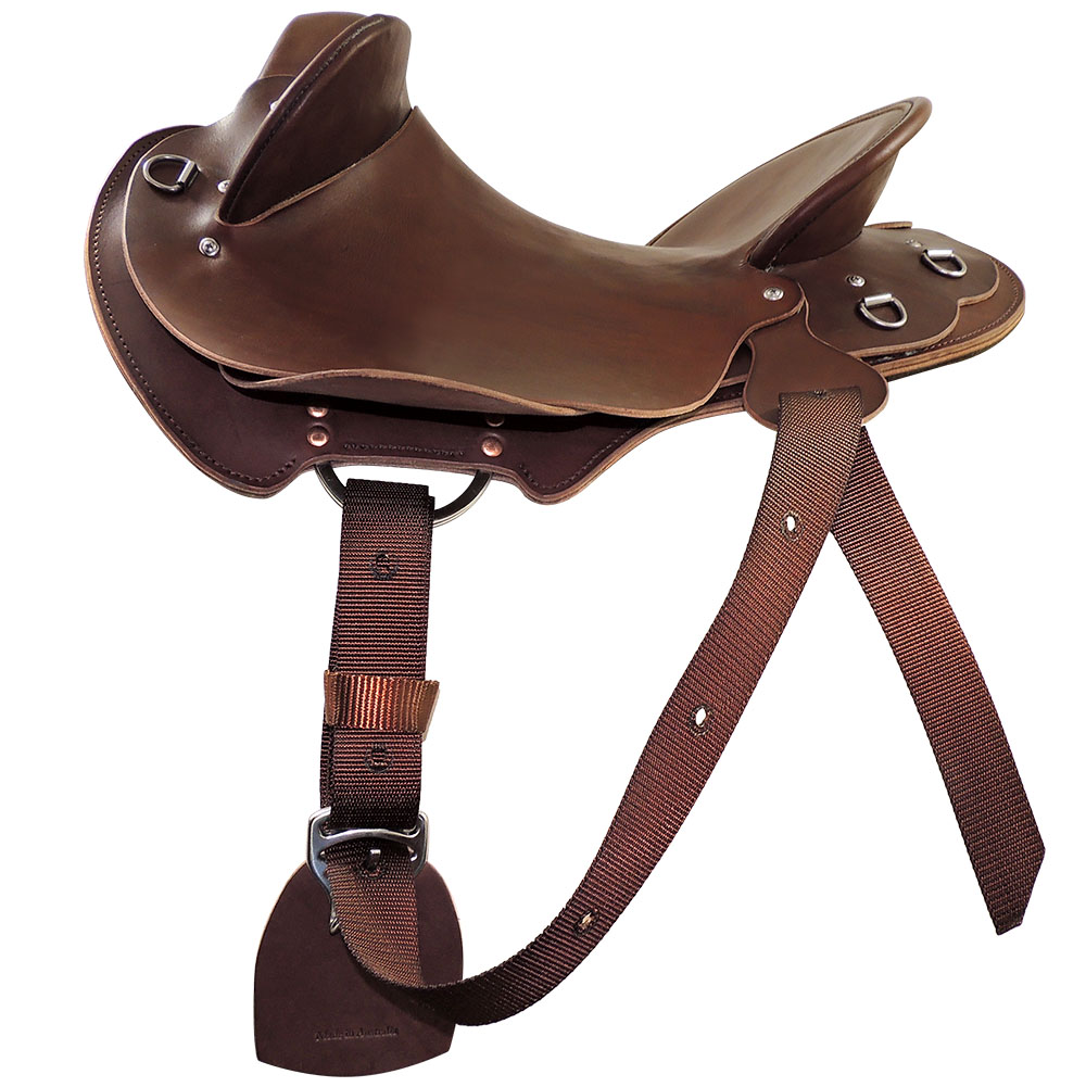 Near side Tackaberry/Bates saddle rigging example, with C type rigplates and TS Pro series synthetic pull-up strap 