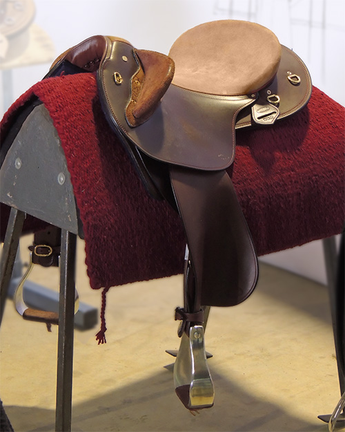 Trevor Scott's stock saddle