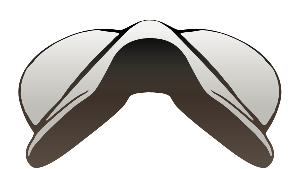 #2 Saddle tree profile - front view