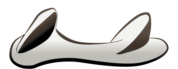 #2 Saddle tree profile - side view