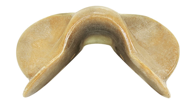 Ramtough saddle tree #3C Junior - front view